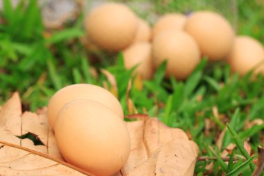 Vintage Paskalya yumurtaları