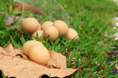 Vintage Paskalya yumurtaları
