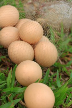 Vintage Paskalya yumurtaları