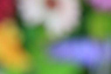 bulanık çiçek arka plan