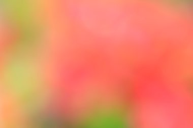 bulanık çiçek arka plan