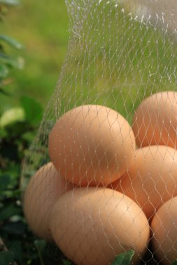 Vintage Paskalya yumurtaları