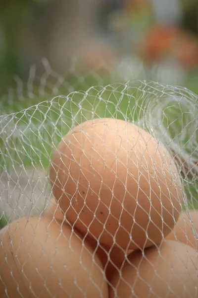 Vintage easter eggs — Stock Photo, Image