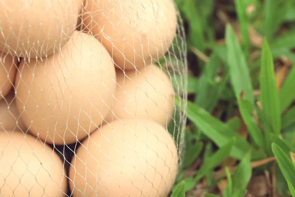 Uova di Pasqua vintage — Foto Stock