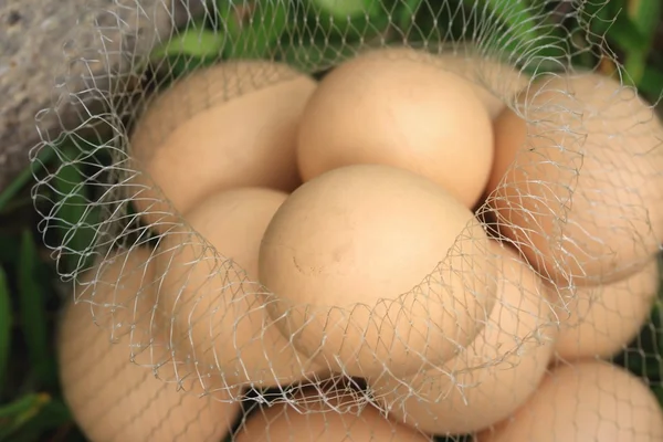 Huevos de Pascua vintage — Foto de Stock