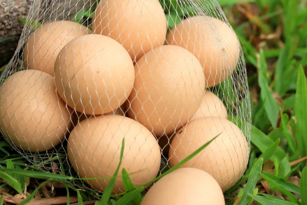 Huevos de Pascua vintage — Foto de Stock