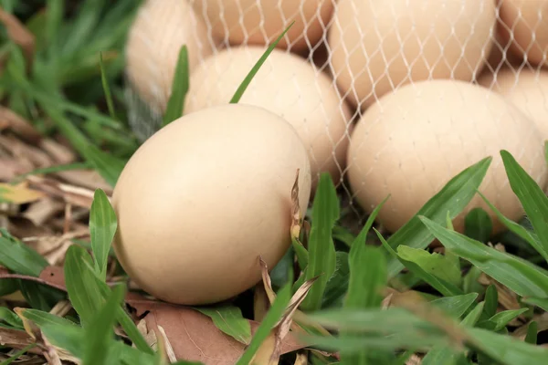 Huevos de Pascua vintage — Foto de Stock