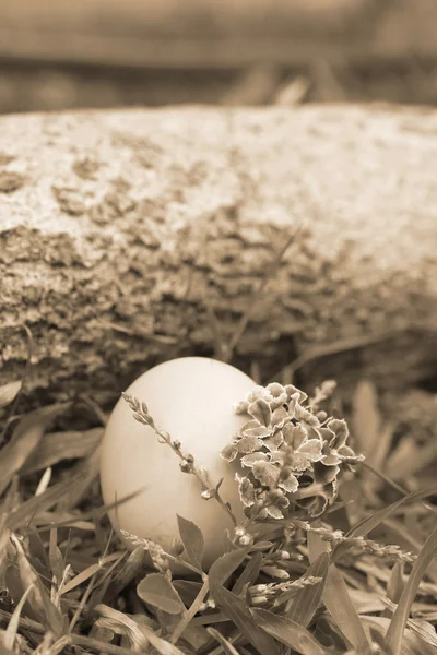 Ouă de Paște Vintage — Fotografie, imagine de stoc