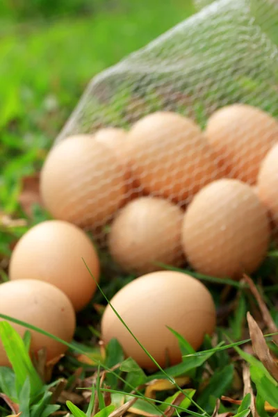 Vintage easter eggs — Stock Photo, Image