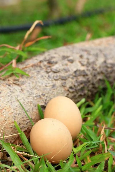 Huevos de Pascua vintage — Foto de Stock