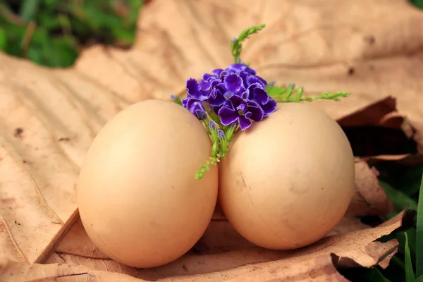 Huevos de Pascua vintage — Foto de Stock