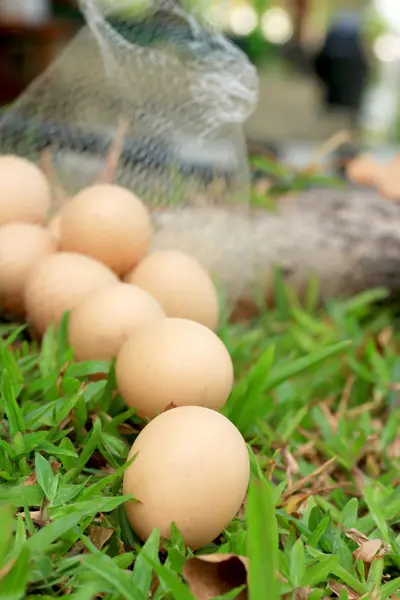 Vintage easter eggs — Stock Photo, Image