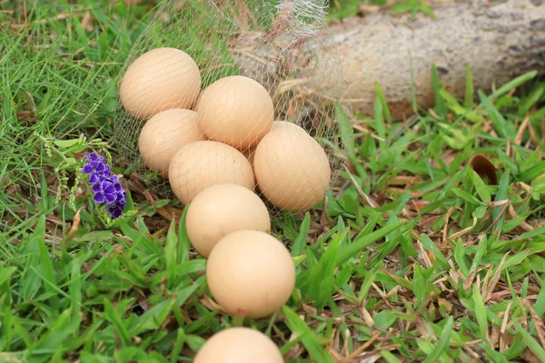 Vintage easter eggs — Stock Photo, Image