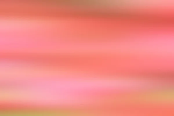 흐리게 인공 꽃 — 스톡 사진