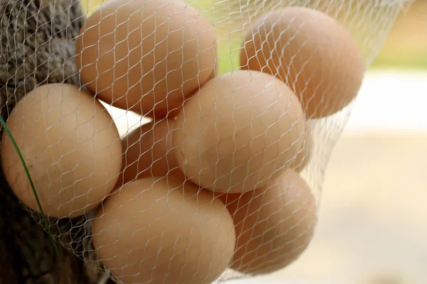 Ovos de Páscoa vintage — Fotografia de Stock