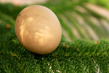 Vintage Paskalya yumurtaları