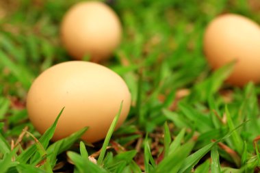 Vintage Paskalya yumurtaları