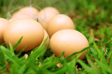 Vintage Paskalya yumurtaları