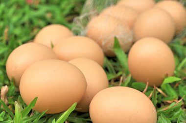 Vintage Paskalya yumurtaları