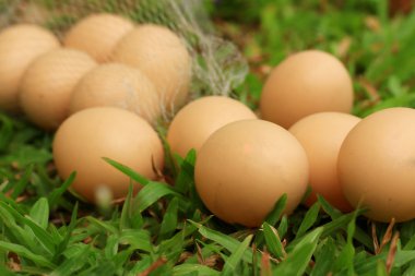 Vintage Paskalya yumurtaları