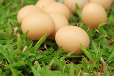 Vintage Paskalya yumurtaları