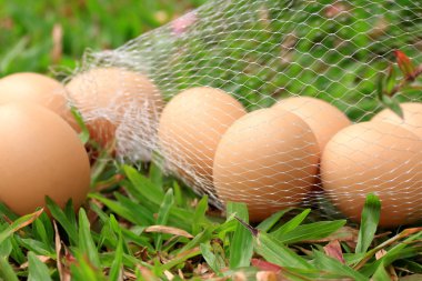 Vintage Paskalya yumurtaları