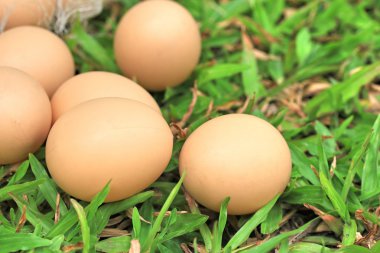 Vintage Paskalya yumurtaları