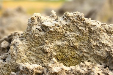 Topraktaki tekerlek izleri.