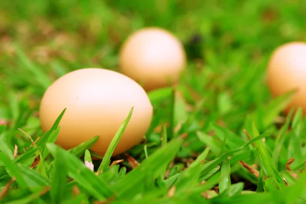 Huevos de Pascua vintage — Foto de Stock