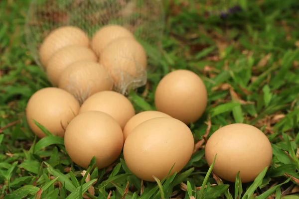 Huevos de Pascua vintage — Foto de Stock