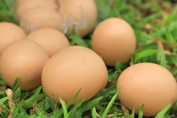 Huevos de Pascua vintage — Foto de Stock