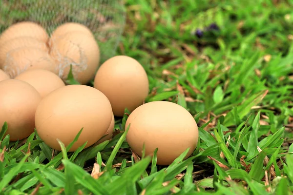 Huevos de Pascua vintage — Foto de Stock