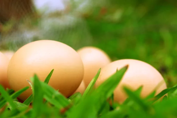 Huevos de Pascua vintage — Foto de Stock