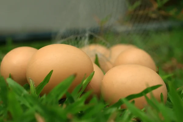 Vintage easter eggs — Stock Photo, Image