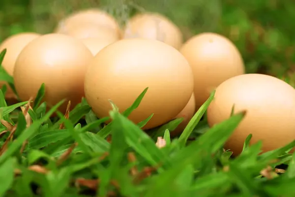 Huevos de Pascua vintage —  Fotos de Stock