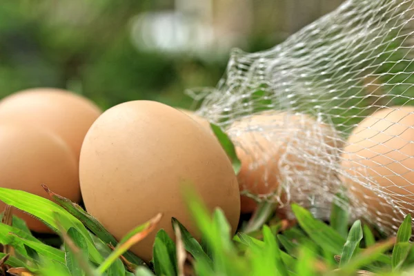 Vintage easter eggs — Stock Photo, Image