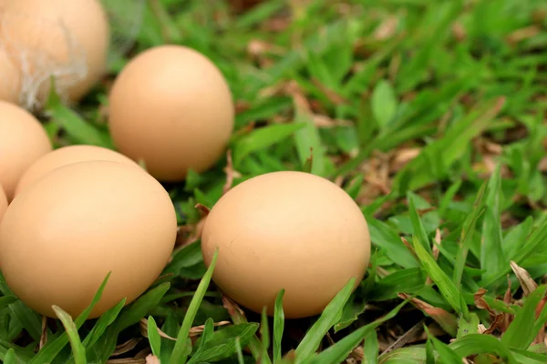 Huevos de Pascua vintage — Foto de Stock