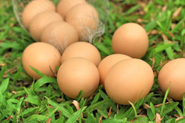 Huevos de Pascua vintage — Foto de Stock