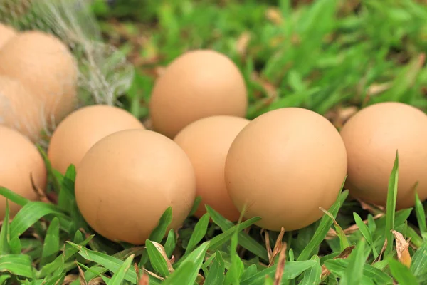 Huevos de Pascua vintage —  Fotos de Stock