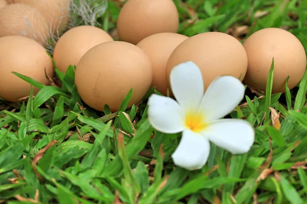 Ouă de Paște Vintage — Fotografie, imagine de stoc