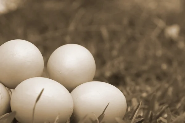 Vintage easter eggs — Stock Photo, Image