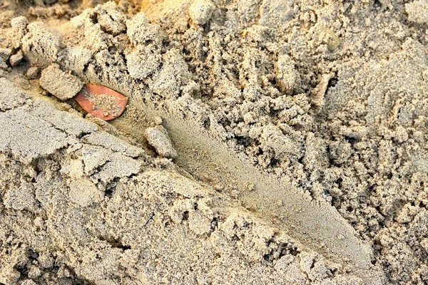 Wielsporen op de grond. — Stockfoto