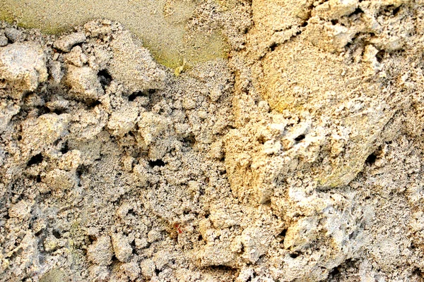 Wheel tracks on the soil. — Stock Photo, Image
