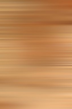 termit ağaç üzerinde