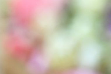 bulanık güzel çiçekler 