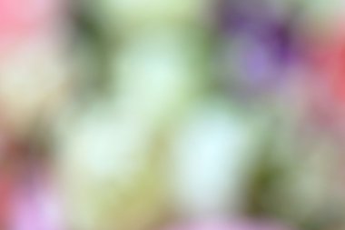 bulanık güzel çiçekler 