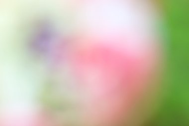 bulanık renkli arka plan doku