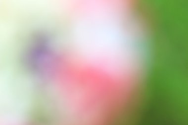 bulanık renkli arka plan doku