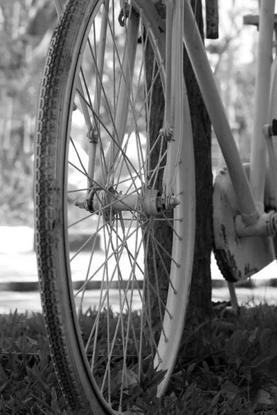 Oldtimer-Fahrrad. — Stockfoto