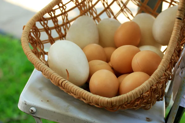 Vintage easter eggs and white eggs — Stock Photo, Image